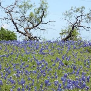 Meet your Posher, Erma